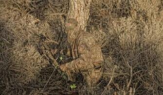 Go Back Pix For Mossy Oak Camo Wallpaper