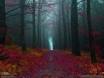 Picture Travel Wallpaper National Geographic Photo Of The Day
