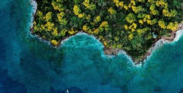 Island Forest Ocean Aerial Wallpaper HD Image Picture