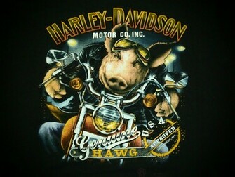 Harley Davidson 3d Wallpaper
