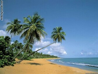 Puerto Rico Background Myspace