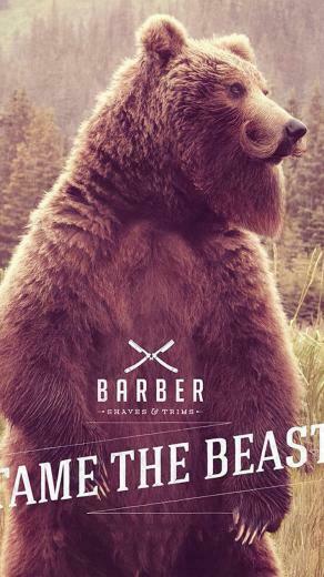 Bear Beard iPhone Wallpaper