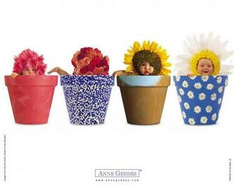 Anne Geddes Wallpaper Desktop Photography Photos