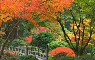 Garden Wallpaper Photo Desktop