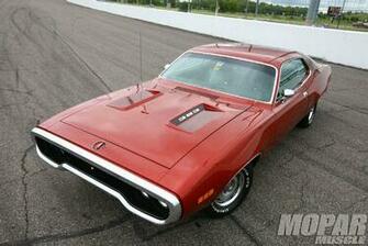 To Choose From Wayne Bradley S Road Runner Is The Clear Favorite
