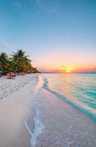 Tropical Beach Pictures Wallpaper