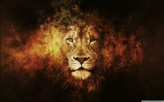 Lion Face Wallpaper