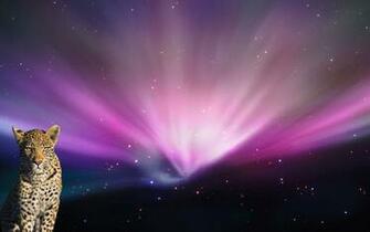 Login Screen Background Customize Your Mac Os X Using