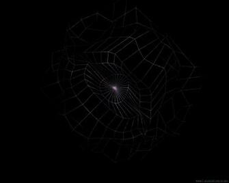Cool Spider Webs Background Ing Gallery