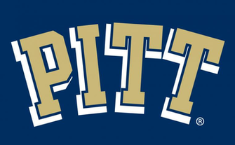 Panther Logo Panthers Wordmark