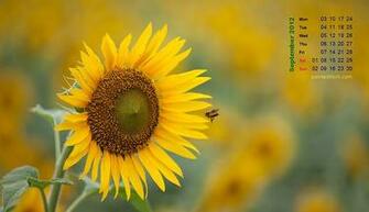 September Desktop Calendar Wallpaper
