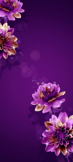 Spruce Up Your Xiaomi Redmi Note Pro With These Animated Daisy