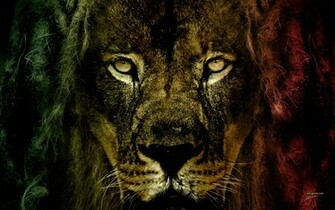 Lion Of Judah By Djog