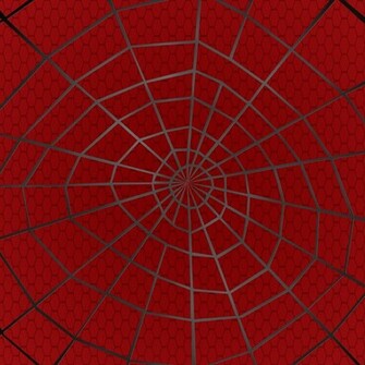 Spider Web Texture Artwork Spiderweb