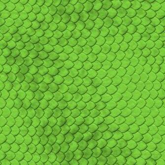 Snake Reptile Skin Texture