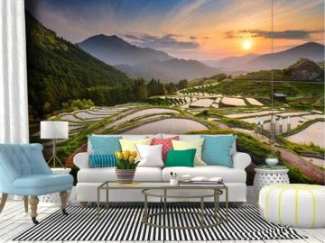 Amazon Wall Mural Rice Terraces In Japan Rural Scenery Stock