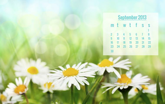 Related Pictures X Wallpaper Fever