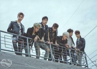 Got7 Wallpaper Ecopetit Cat