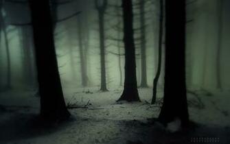 Snowing Forest Mist Wood Landscapes Winter Haze Trees