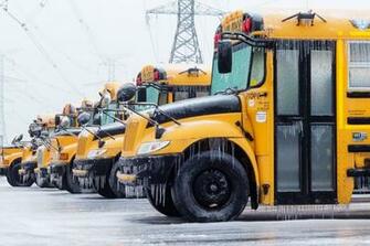 Schoolbus Wallpaper HD World S Greatest Art Site