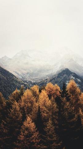 Gorgeous Happy Fall iPhone X Wallpaper Preppy
