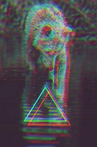 Hipster Triangle Triangulo