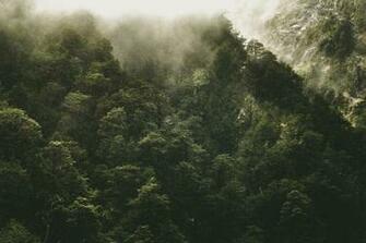 Sunshower Pictures Image
