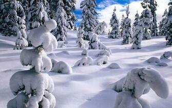 Winter Wonderland Dreamy Snow Scene Wallpaper No