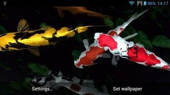Koi Fish Live Wallpaper For Android By Amazing