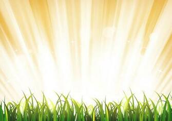 Summer Sunshine Background With Grass Leaves