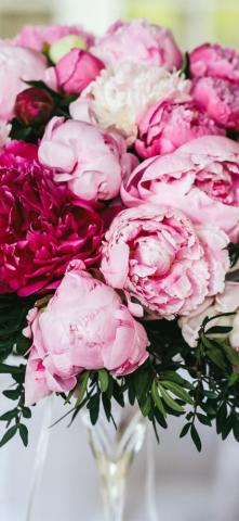 iPhone Wallpaper Pink Peonies Flowers Bouquet Hazy Peony