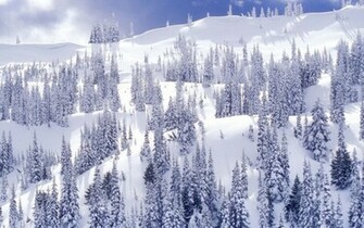 Beautiful Winter Landscapes Wallpaper Landscape