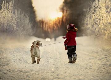Winter Road Snow Nature Child Dog Wallpaper HD Desktop And