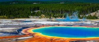 Conservation Compassion And Awe In Yellowstone National Park