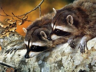 Desktop Wallpaper Background Animals