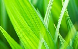 Hqwalls Net Wp Content Uploads Windows Wallpaper Jpg