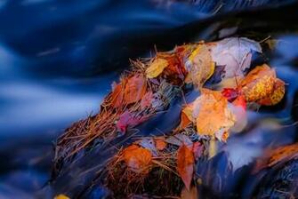 Tags Nature Landscapes Landscape Stone River Autumn Leaves