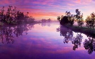 Landscapes Forest Sunlight Sunshine Lake Pink Tree Landscape