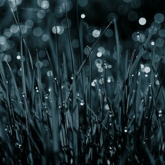 Translucent iPad Wallpaper iPhone