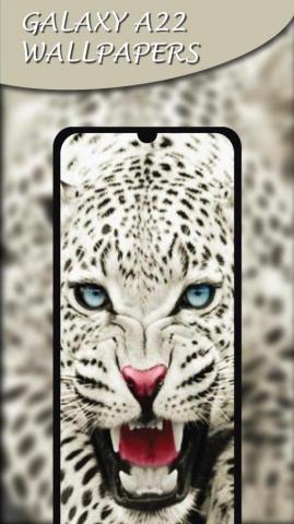 Themes For Galaxy A22 Wallpaper Android Apk