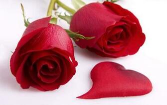 Flowers Hearts Wallpaper Roses Red