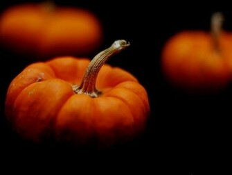 Displaying Image For Cute Pumpkin Desktop Wallpaper
