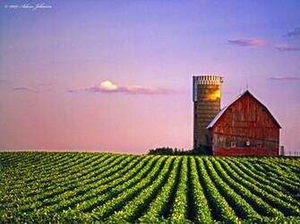 Minnesota Farm Scene March Rush River Sibley