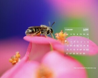 Best February Desktop Wallpaper Calendars Creativecrunk