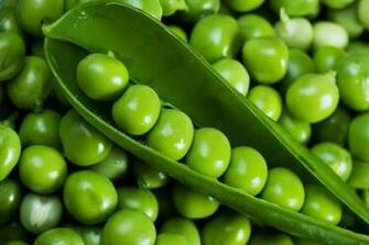Pea 5k Retina Ultra HD Wallpaper Background Image
