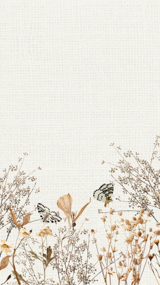 Aesthetic Wallpaper Beautiful HD iPhone Samsung Mobile