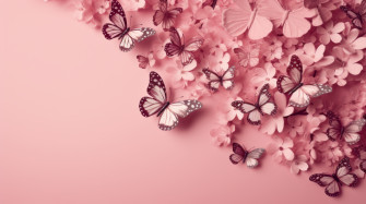 Flowers HD Wallpaper And Background