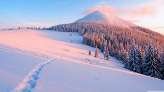 Winter Laptop Wallpaper