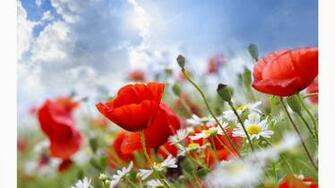 Summer Flowers Wallpaper And Make This For