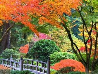 3d Nature Photo Desktop Background Beautiful Mural